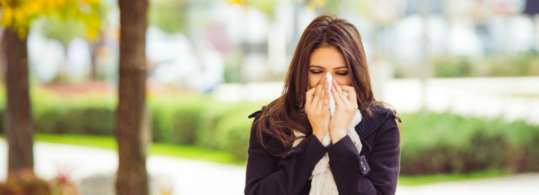 allergies-cold-blog -